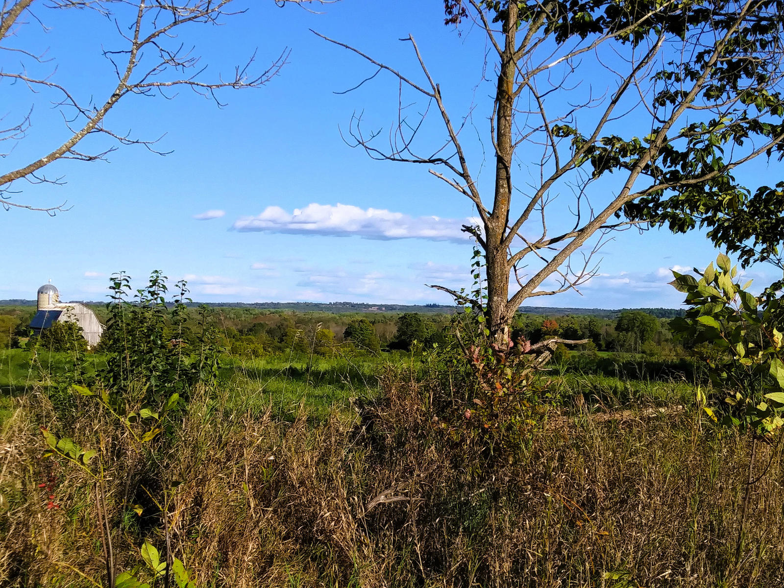 Fall Countryside View