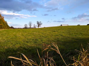 Grassy Field and Sky - Mid November