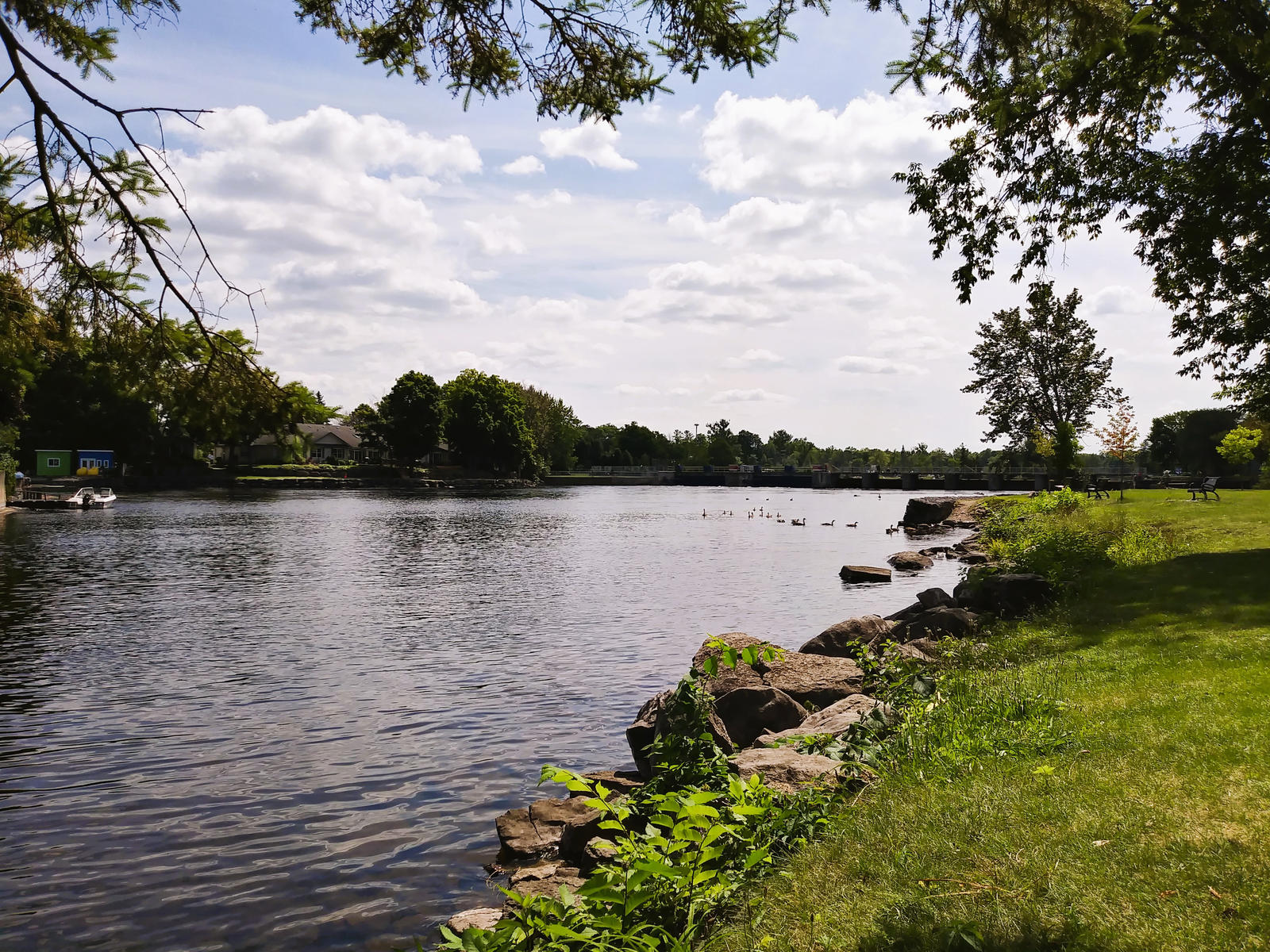 Lakescene In Summer - Park and Bridge Dam