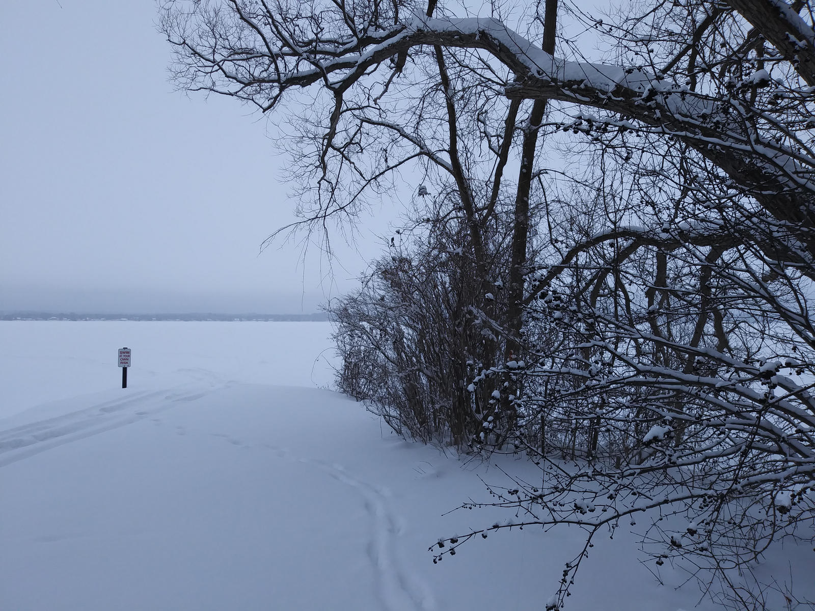 Snow Covered Trees Near Lake 2