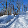 Piles of Snow On A Trail