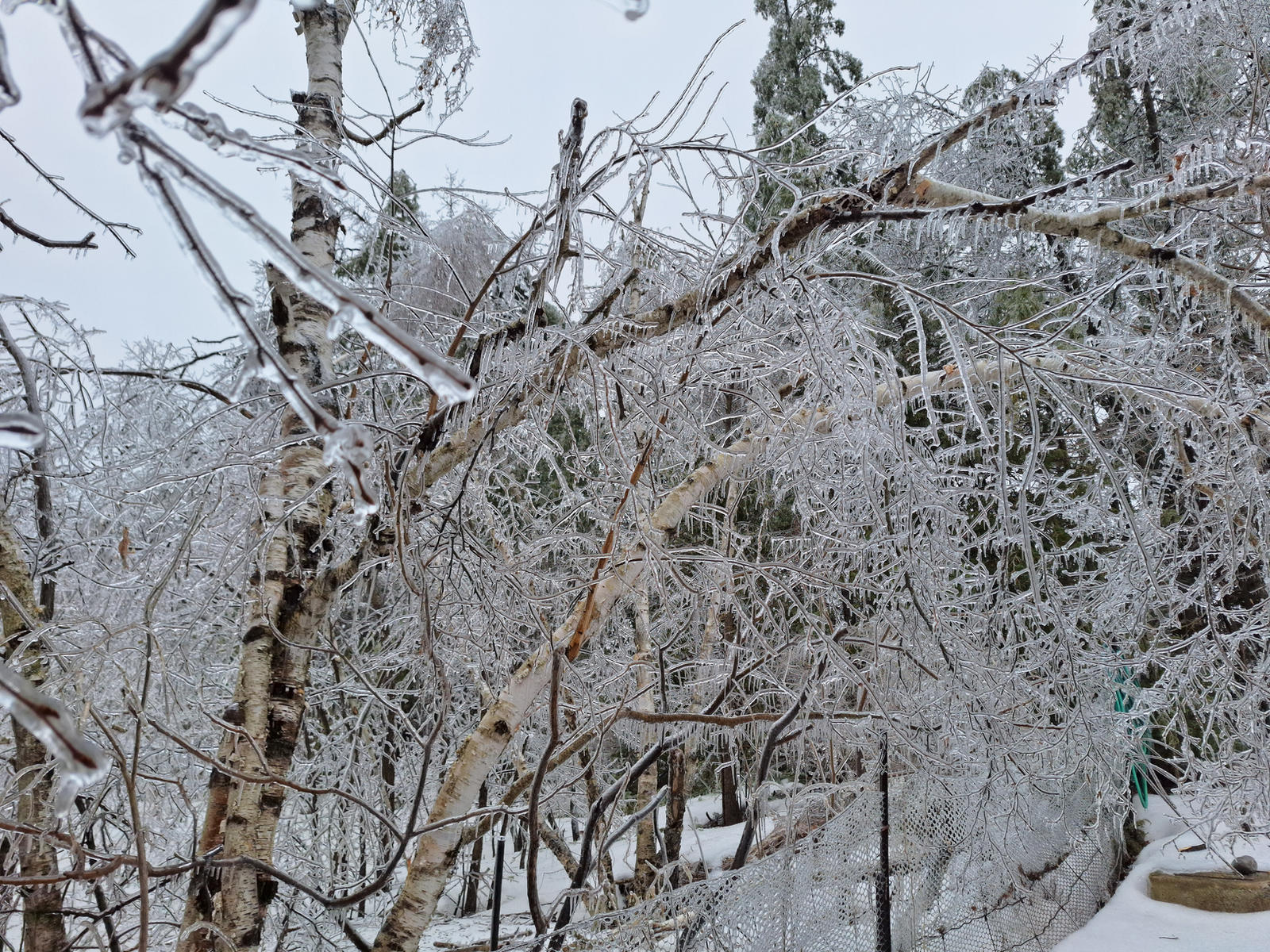 Trapped In Ice - Ice Storm 2025