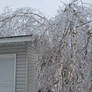 Trapped In Ice - Ice Storm 2025