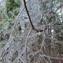 Trapped In Ice - Ice Storm 2025