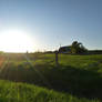 Magnificent Sun Setting Through Country Field II