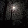 Bright Moon In The Night Sky 3