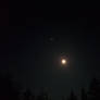 Midnight Winter Moon
