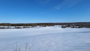White Snowy Plain