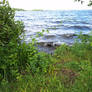 View Near Lake 3
