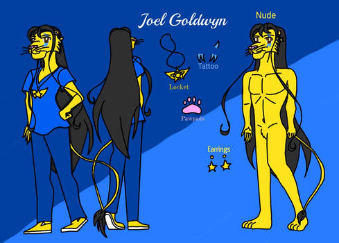 Joel Goldwyn Character Sheet