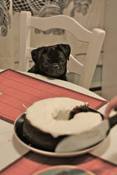 Constance and Cake by boum