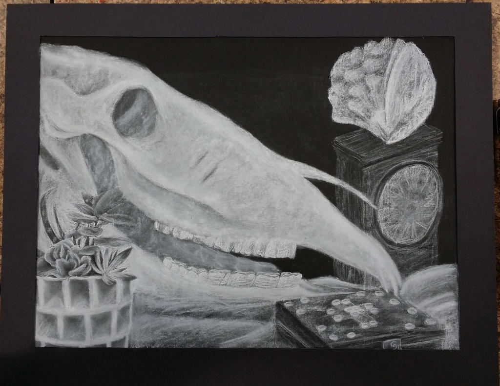 Charcoal Still Life