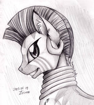 Pencil Portrait - Zecora