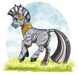 Zecora with Complex Stripes