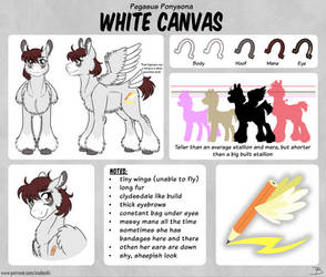 Ponysona White Canvas Reference Sheet