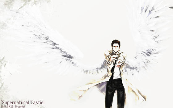 SPN-the warrior Castiel