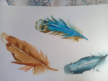 feathers practice