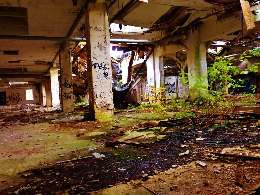 abandoned furniture plants IX