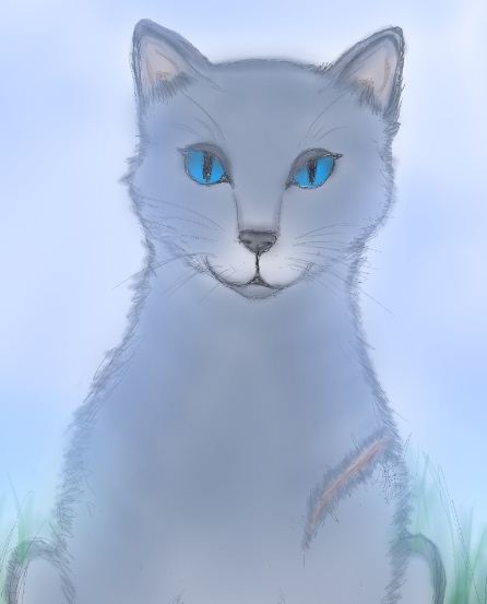 Bluestar Warrior Cats