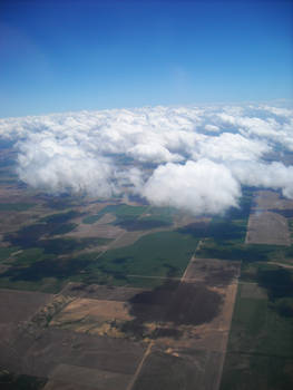 Fields Overhead