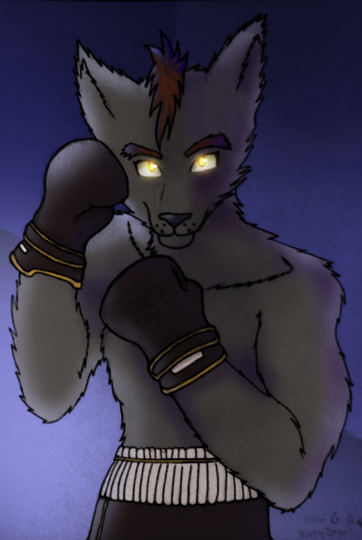 Timber Torn, Wolf Boy Boxer