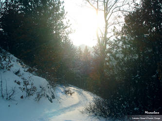 Winter in Svoge, Bulgaria