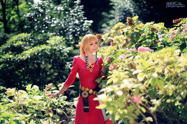 Zelda Skyward Sword