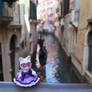 Venetian Sylvanian