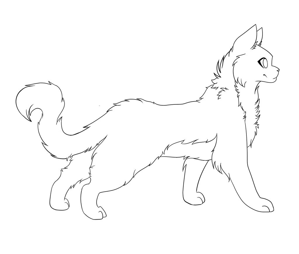 Drawing Warrior Cat Drawing Base Drawing Warrior Cat Drawing Base
