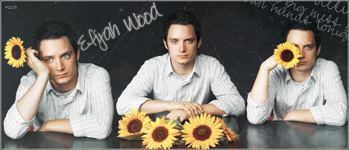 Elijah Wood