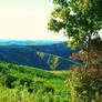 Brisighella Landscapes