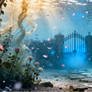 The Drowned Garden