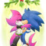 A Sonic X Echo (Echonic) Christmas!