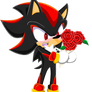 Shadow The Hedgehog - Valentine 2014