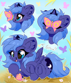 Hi, little butterfly!