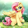 Nature Fluttershy