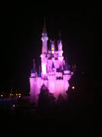 Cinderella Castle