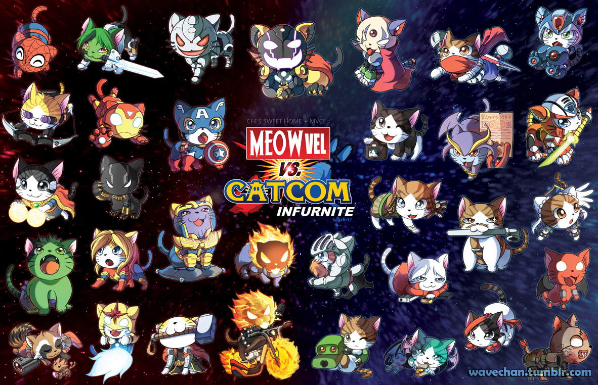 Meowvel vs Catcom Infurnite!