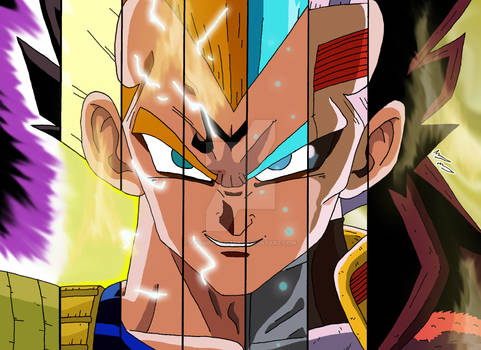 Dragonball 30th Anniversary - Vegeta