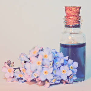 Bottled Colours - Indigo