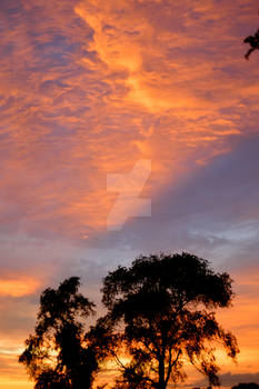 Orange and Blue Skys