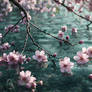 Cherry Blossom Trees Blooming By The Water 2