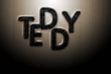 teddy :D