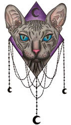 Sphynx Cat Tattoo (Colour)