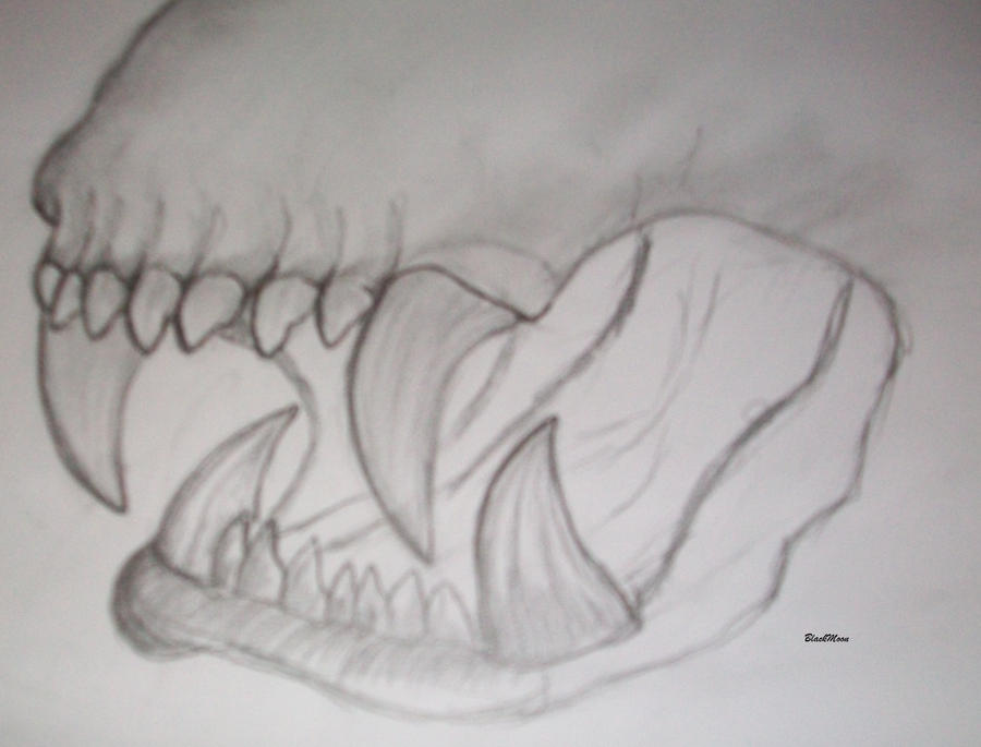Fangs Shape Tooth Deviantart Teeth by LunarFoxxx on DeviantArt