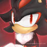 Shadow - the - Hedgehog