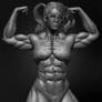 Muscular Female Anatomy Volume 01 by yacine brinis