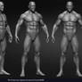 Muscular Male Anatomy 3D Character Yacine BRINIS