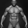 Muscular Male Anatomy 3D Character Yacine BRINIS