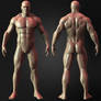 Muscular Male Anatomy 3D Character Yacine BRINIS